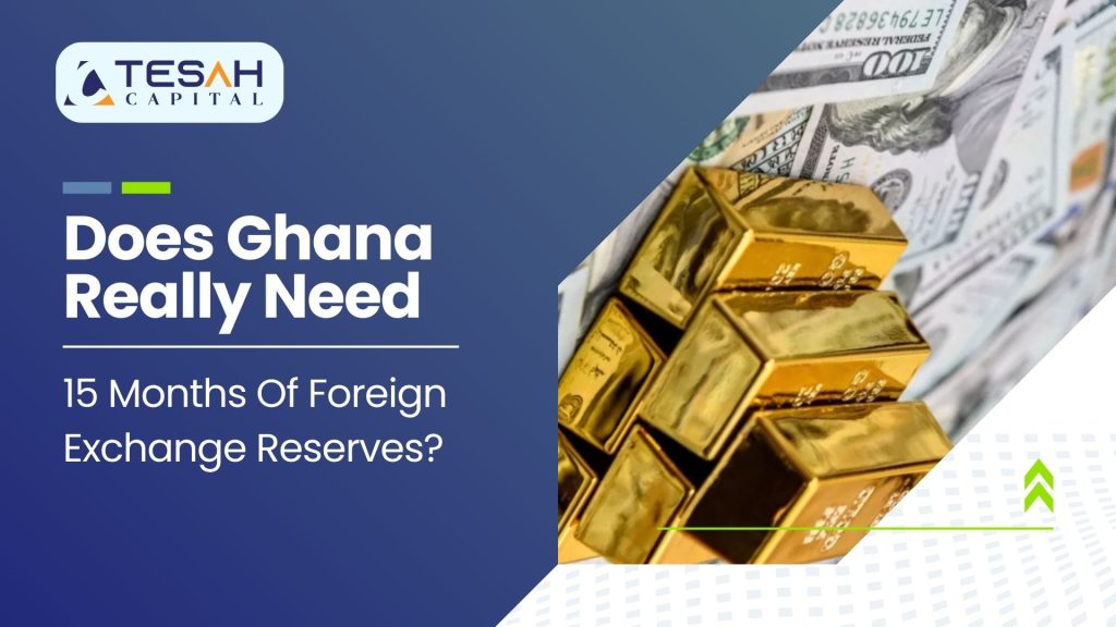 Does Ghana Really Need 15 Months of Foreign Exchange Reserves?