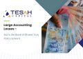 Large Accounting Losses – But Is the Bank of Ghana Truly Policy Solvent